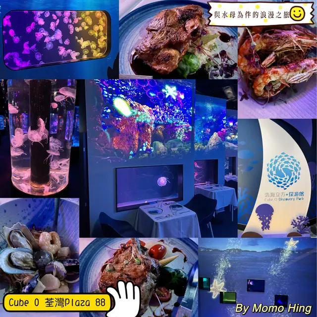 餐廳居然設成成半個水母館,伴著水母吃飯