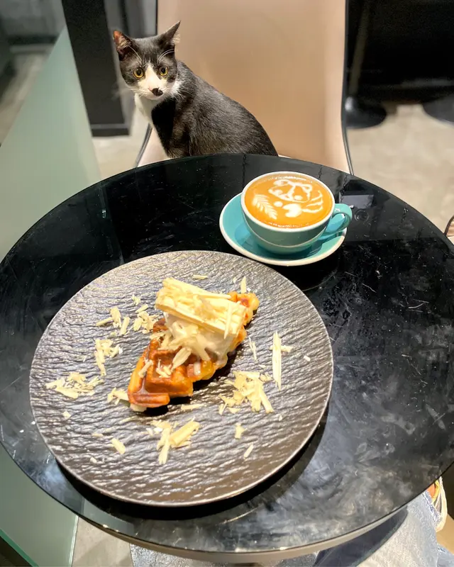 Croffle w/ Homemade Sea Salt Gelato & Latte