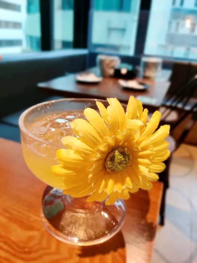 菊花蜜特飲