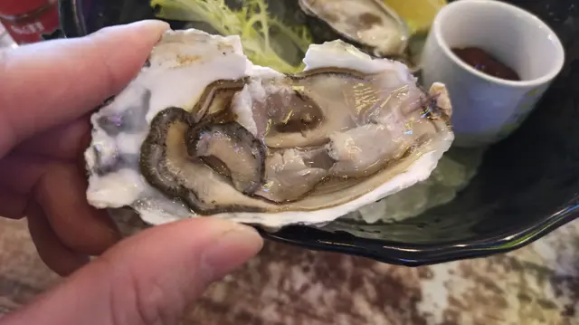 即開生蠔