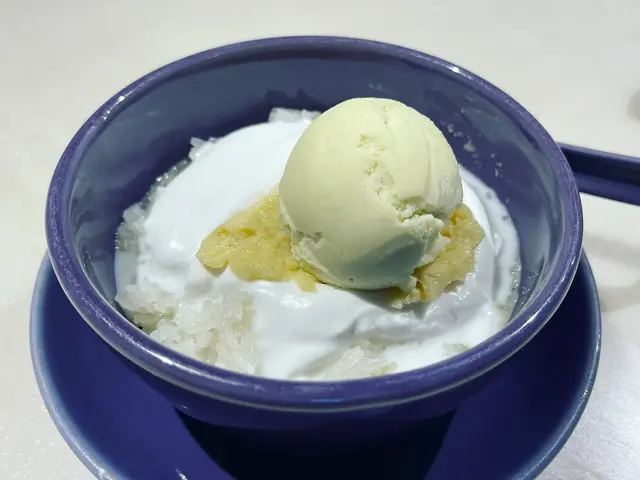榴槤雪糕伴榴槤糯米飯