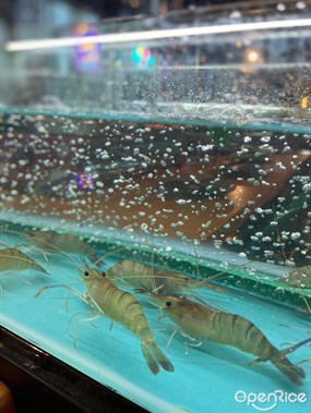 蝦蝦燒的相片 - 荃灣