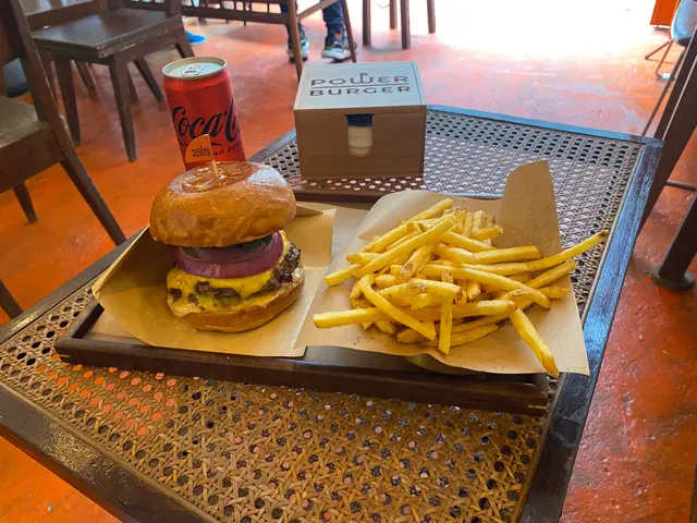 雙層芝士漢堡，薯條