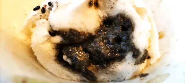 一D 都吾流沙，皮仲超厚