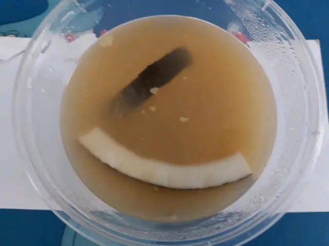 湯渣有椰子、粟米及甘筍，非常清甜