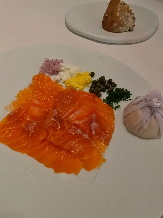 Salmon