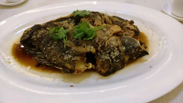 油浸大筍殼魚