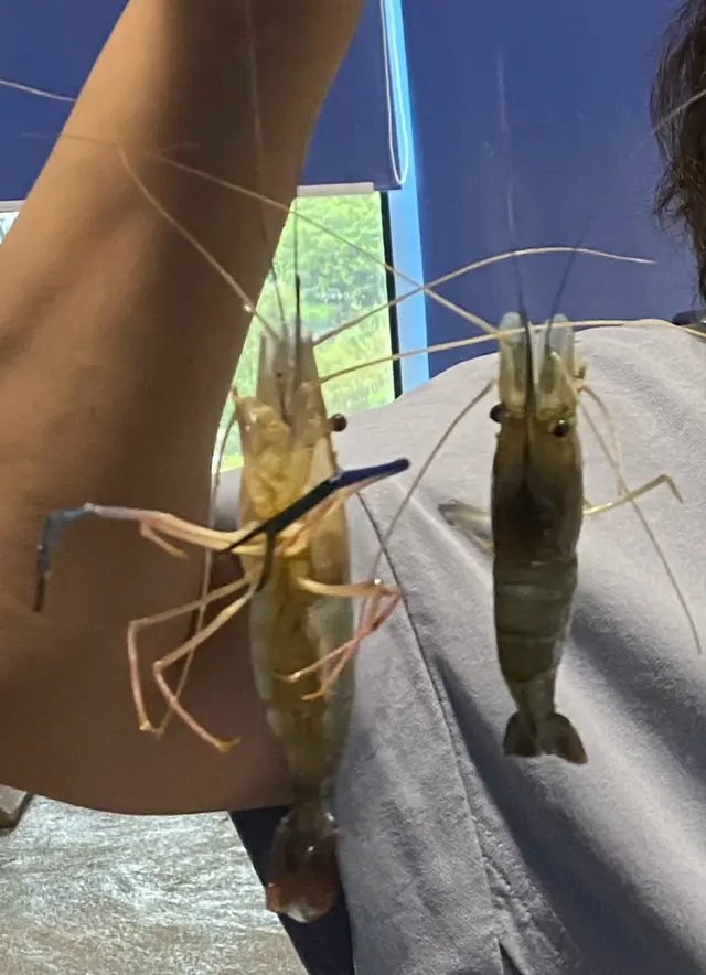 一箭雙雕有飲品送