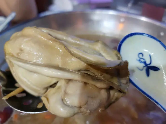 巨型美國桶蠔