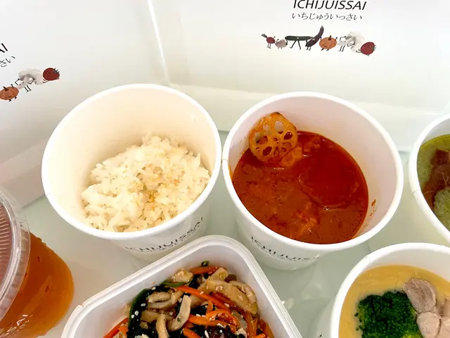 和風蕃茄雞肉咖喱飯