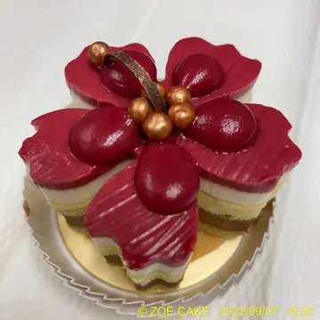 🍰Hibiscus Chocolate🍰