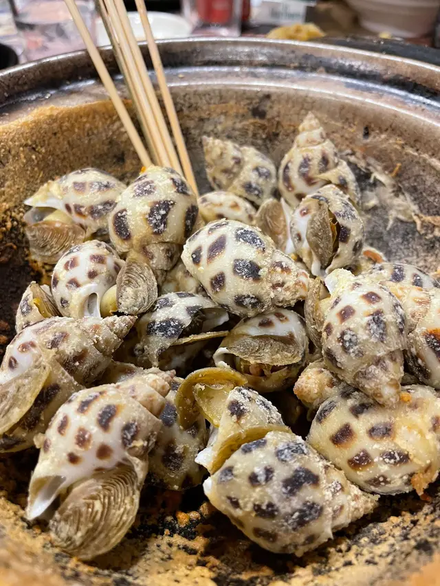 從未見過咁大粒嘅花螺