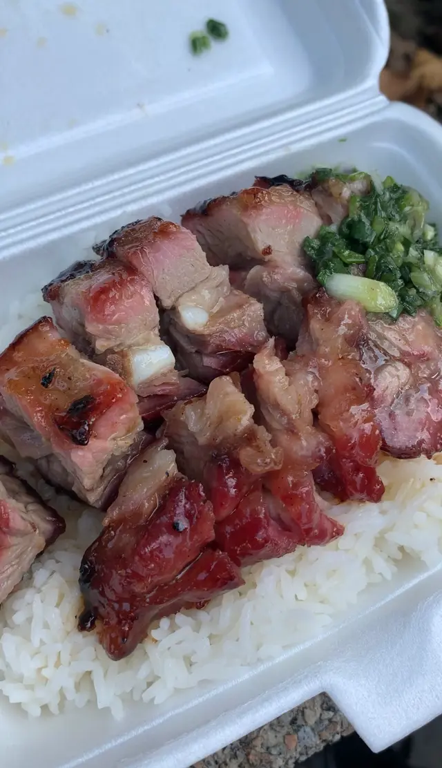 叉燒燒排骨飯