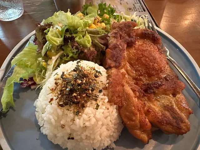 珍寶雞扒配飯