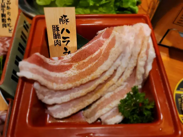 大阪城拼盤 豚肉部份
