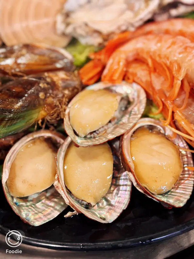 台灣九孔鮑魚