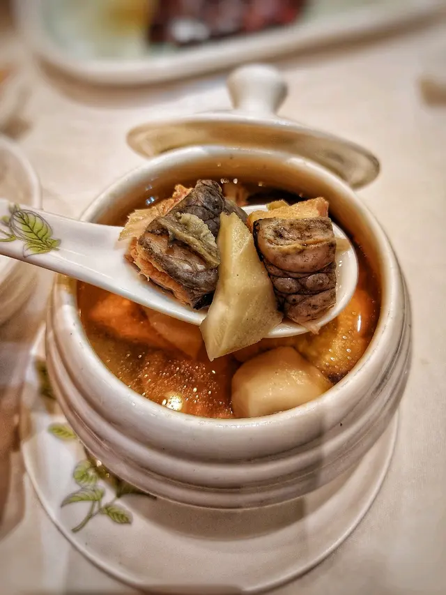 川貝海底椰燉鱷魚湯