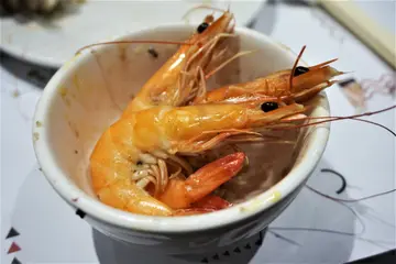 生猛海虾
