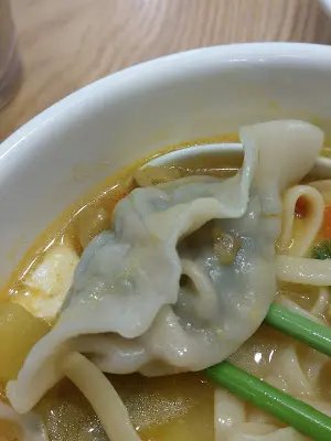 芹菜植物肉素餃