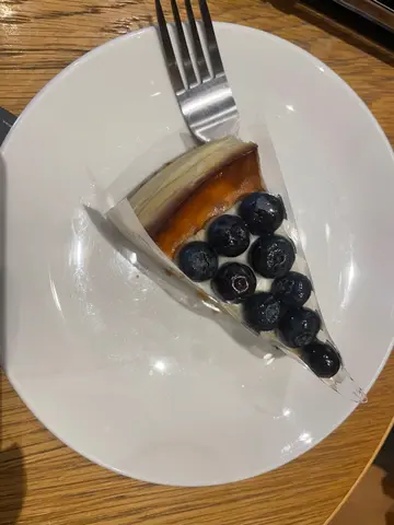 Blueberry Cheese Cake