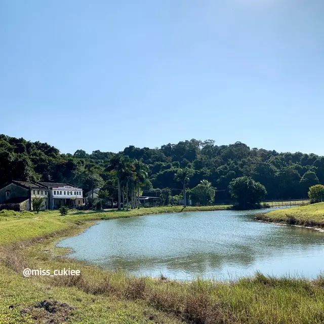餐廳風景
