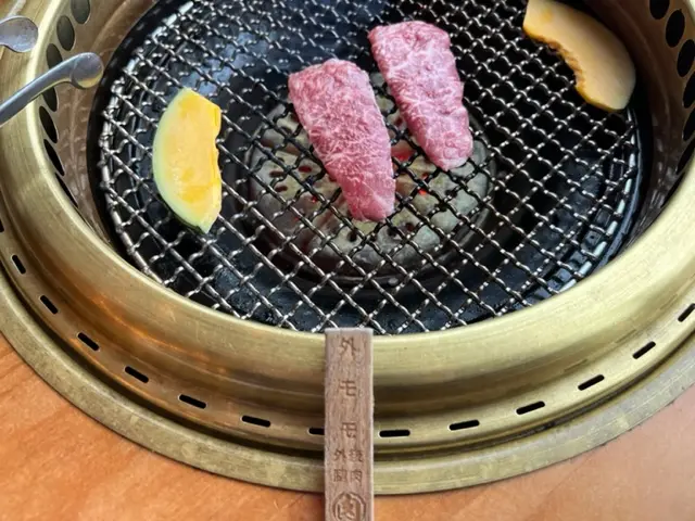 そとモモ(外後腿肉)