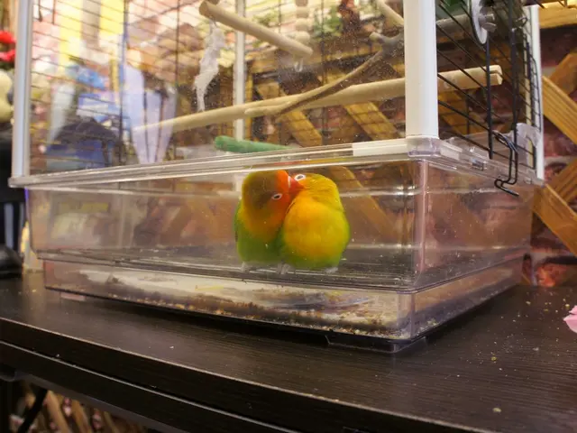 門口非常恩愛的一對lovebirds,見人就kiss