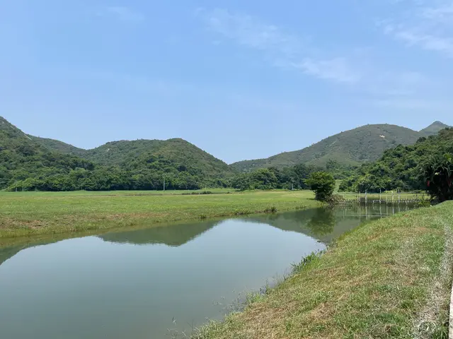 外在環境