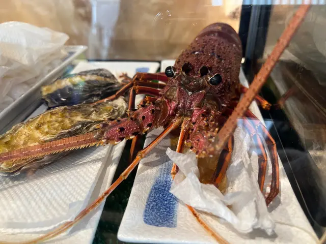 食材新鮮，龍蝦仍然生猛