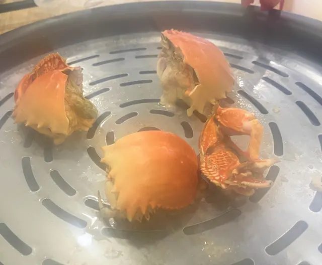 太平洋饅頭蟹