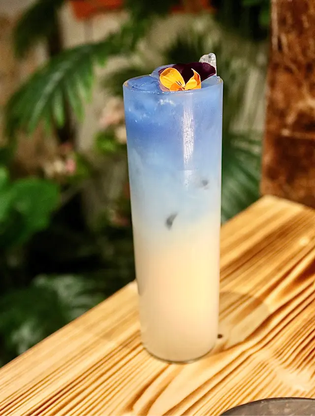 蝶豆花荳奶