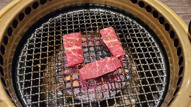 美國上級牛頸脊