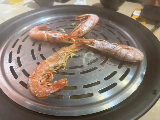 日本野生大赤蝦