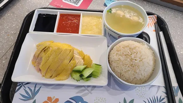 海南雞飯配蘇東魚丸雞湯