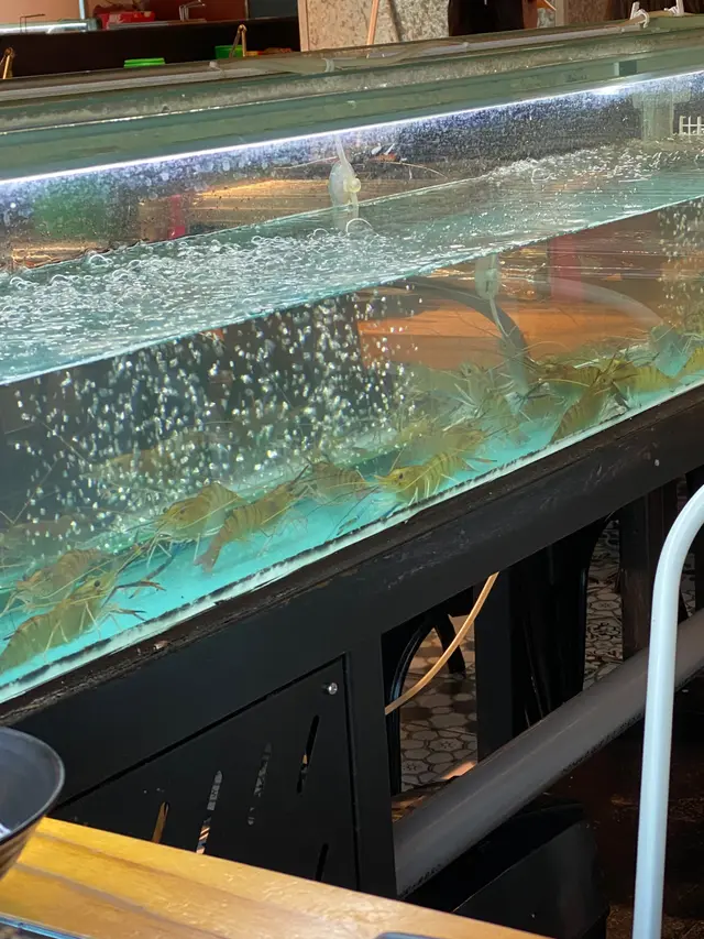 流水蝦，好生猛👍🏻