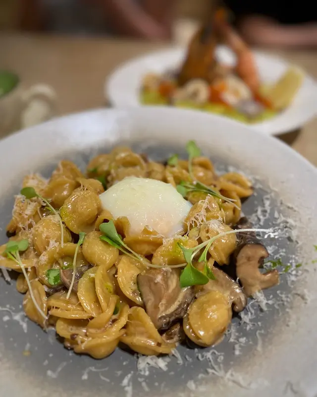 溫泉蛋什菌牛肝菌汁貓耳朵粉