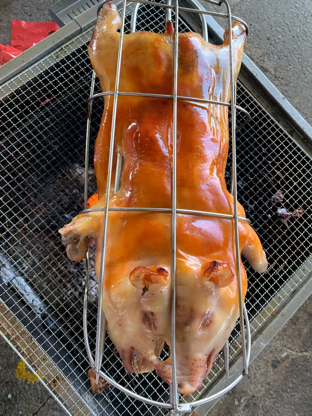 燒乳豬