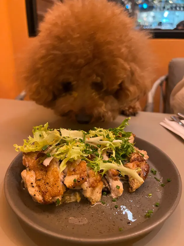 Grilled  Boneless Chicken  Leg  with  Mushroom & Truffle Aioli