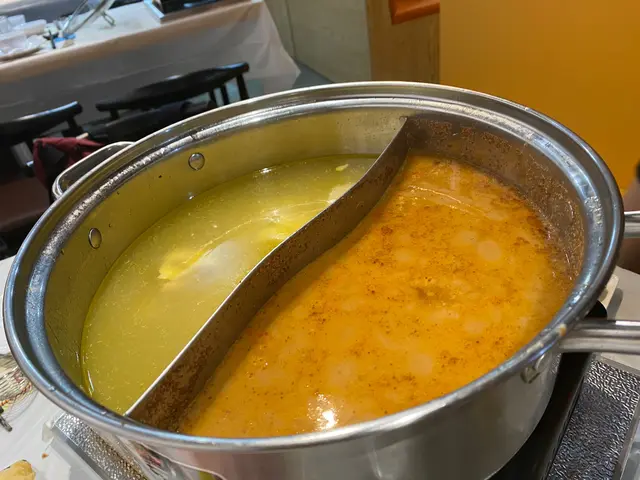 沙嗲湯底／花膠雞湯