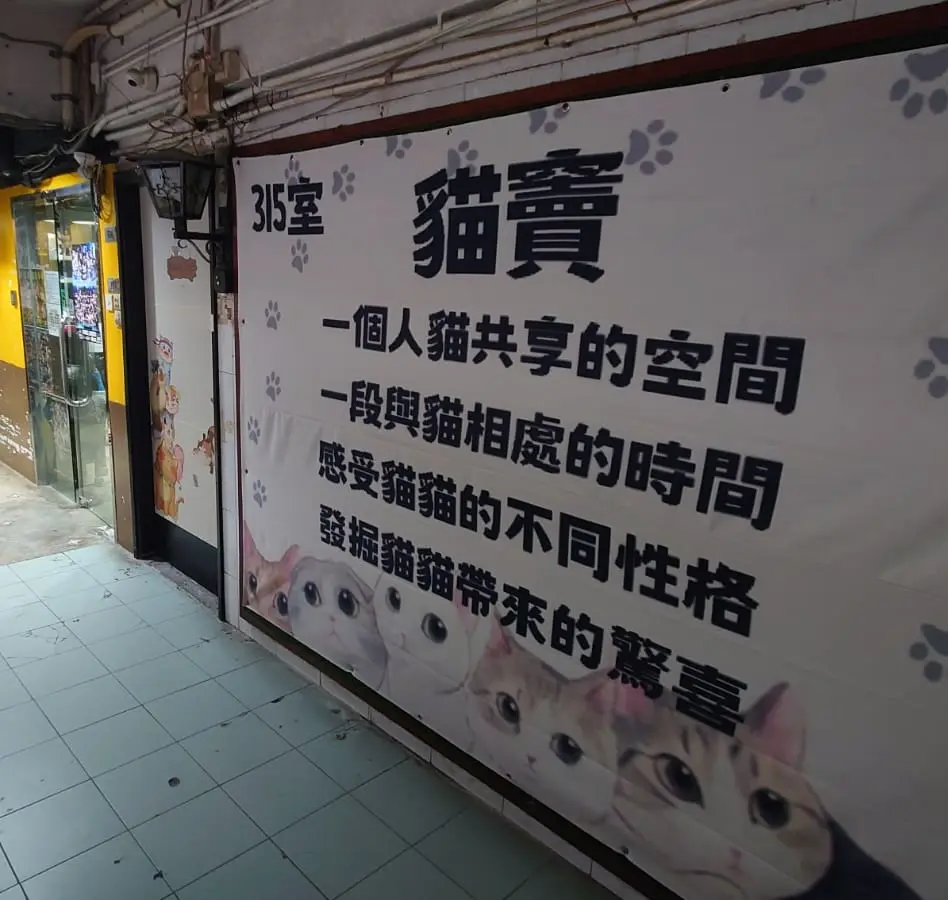 貓竇