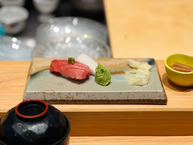 トロ ｜鮪魚腩