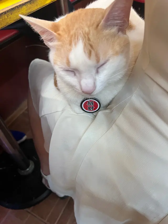 好乖好磁人🥰