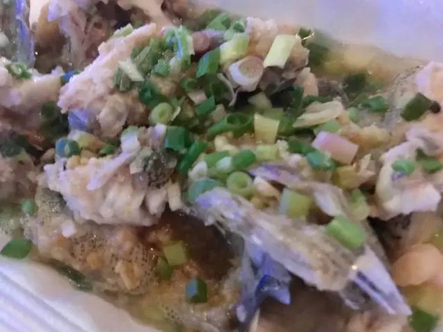 沙巴龍躉兩味：清蒸龍躉頭腩