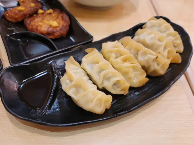 自家製餃子