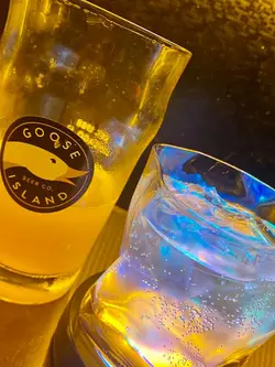 Goose draught