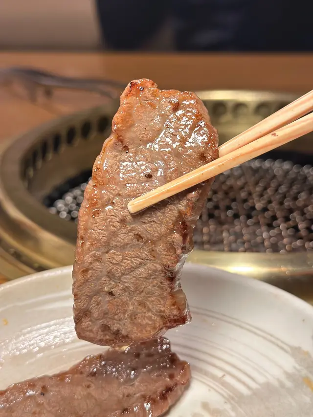 宮崎和牛特上雪花牛排肉