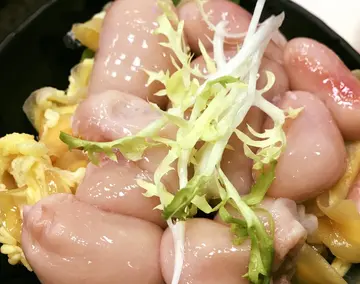 火鸡子