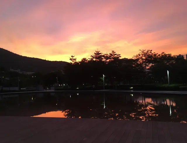 夕陽下賀生晨,一切也很美