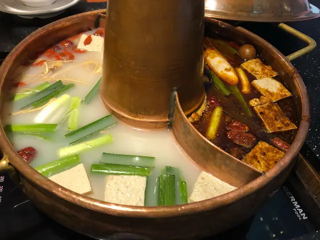 養生麻辣鴛鴦湯底