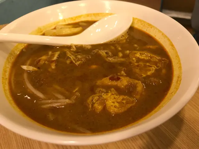 叻哩喇沙手撕雞湯